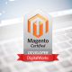 news_magento